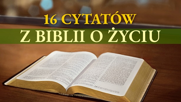 16 cytatów z Biblii o życiu - Ewangelia na dziś